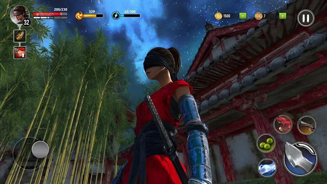 Ninja Ryuko: Shadow Ninja Game 2