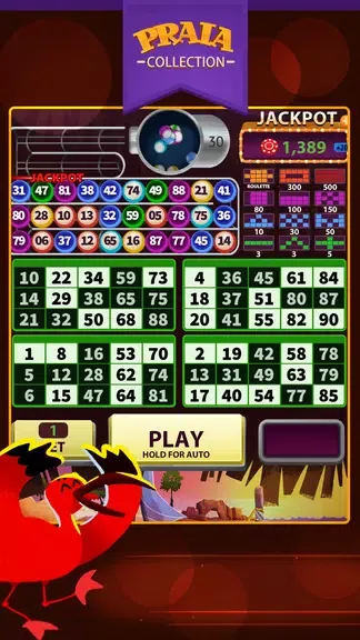 Jeri Video Bingo 1