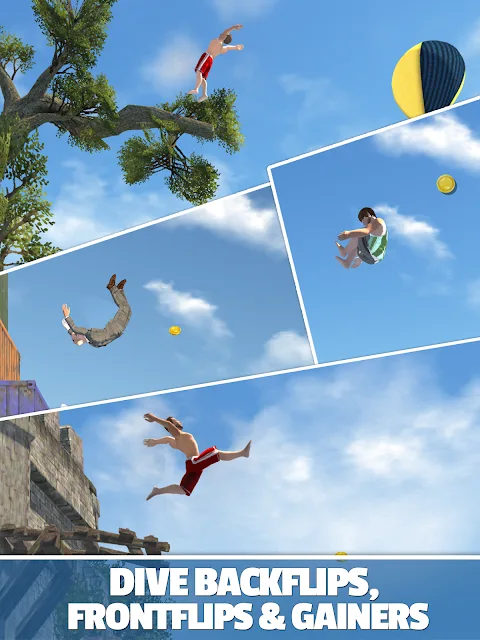 Flip Diving 3
