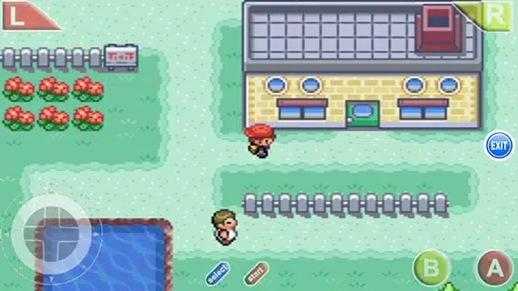 Pokemon: Outlaw 1