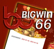 BALIWIN66