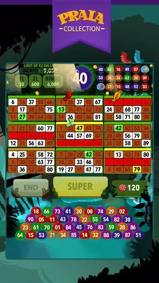 Video Bingo Ubatuba 3