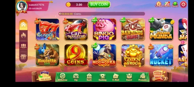 Ludo Asia 1