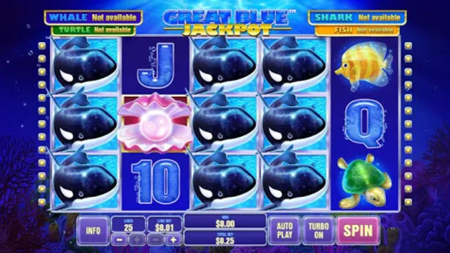 JT blue 5