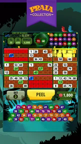 Video Bingo Ubatuba 2