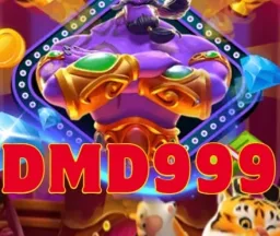DMD999