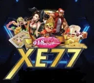 XE77