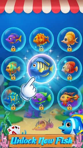 Island Cards 2