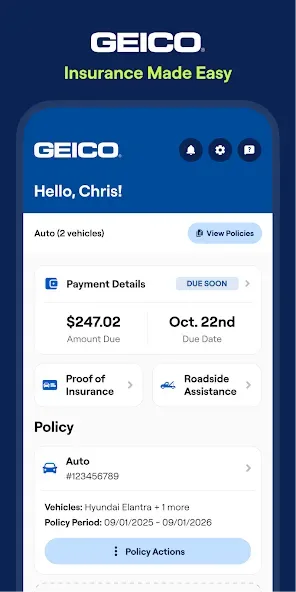 GEICO Mobile 1