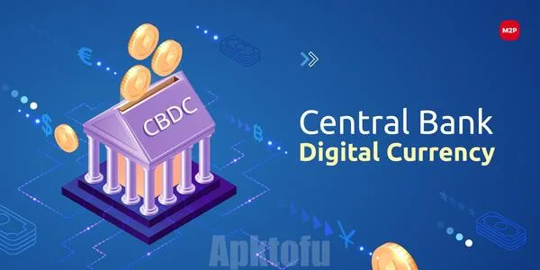 Fingertips CBDC 6