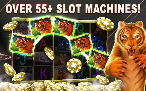 VIP Deluxe Slots Games Offline 4