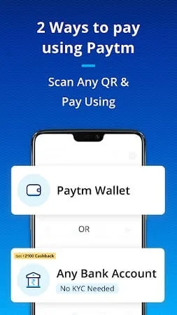 Fake Paytm 1