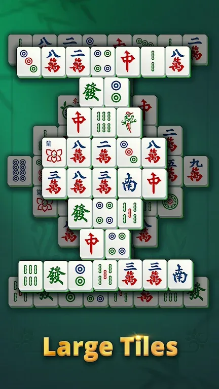 Vita Mahjong for Seniors 1