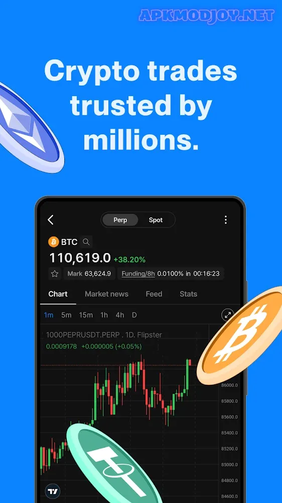 Flipster 1