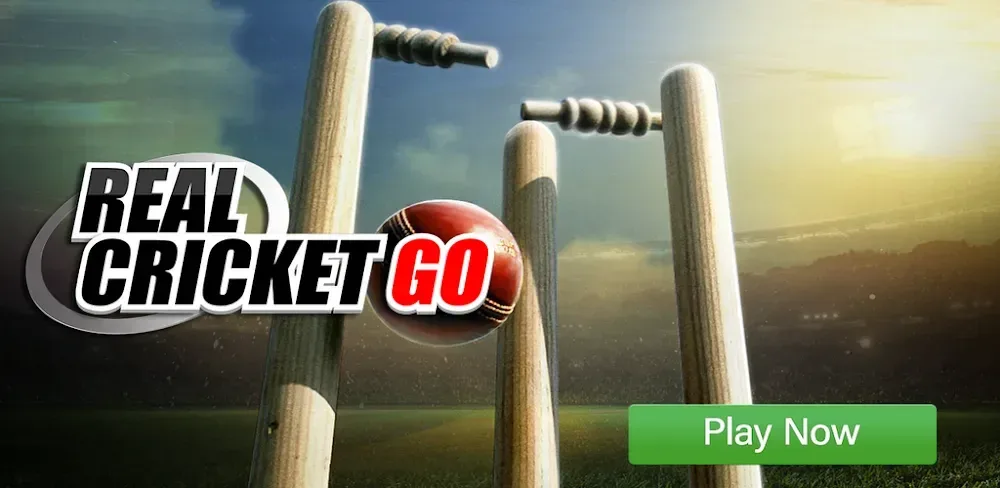Real Cricket GO 1