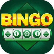 Bingo 101