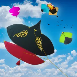 Kite Flying