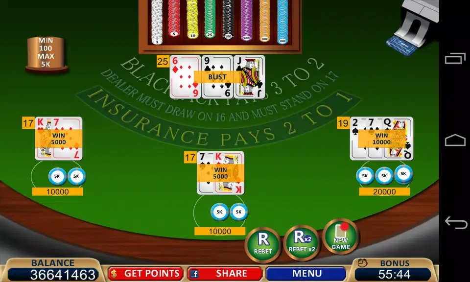 Blackjack 21+ Casino Card Game 2
