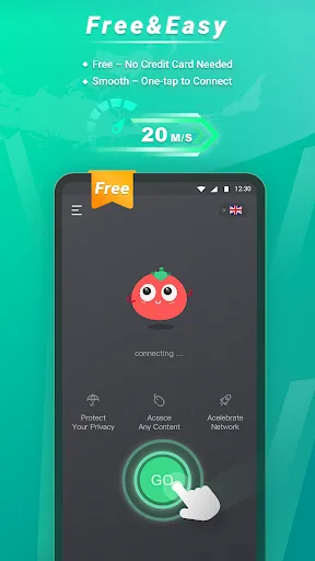 Tomato VPN | VPN Proxy 2