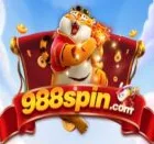 988Spin