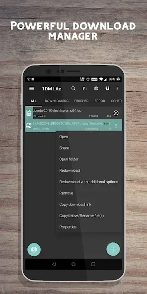 1DM Lite 5
