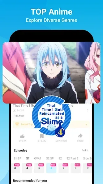 Bilibili 3