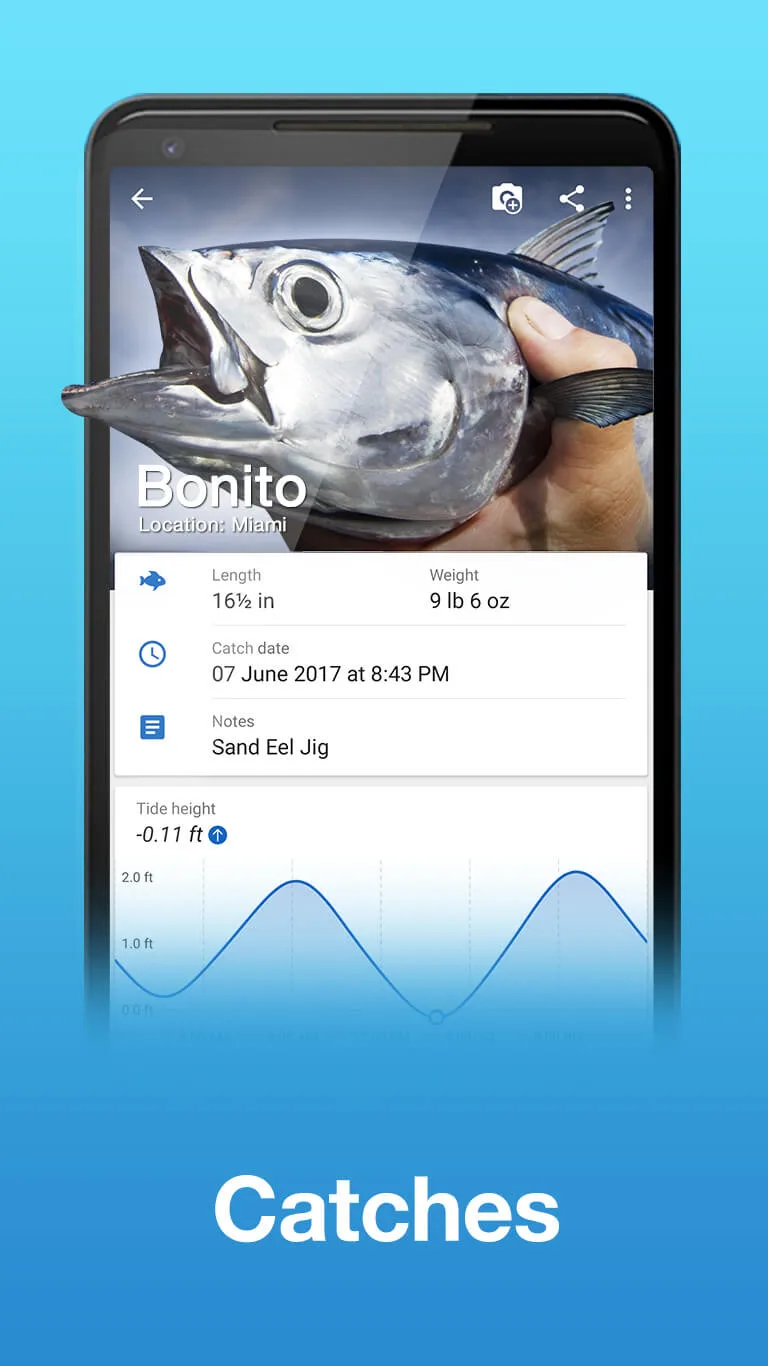 Fishing Points 3