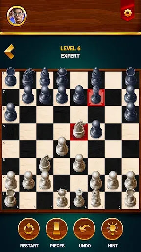 Chess – Offline Board Game 2