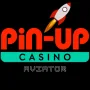 Pin Up:Aviator Game