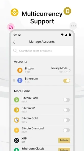 Ballet Crypto 3