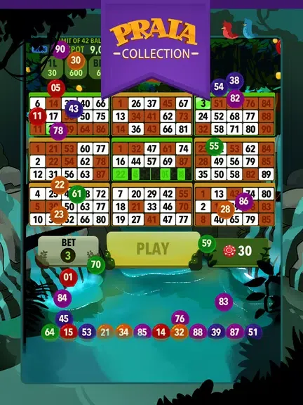 Video Bingo Ubatuba 4