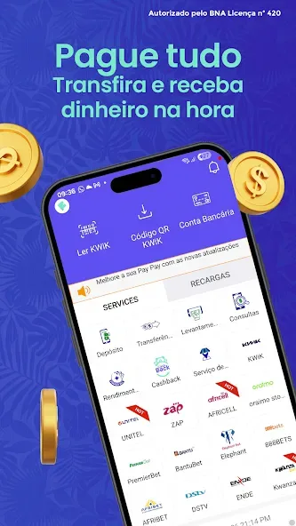 PayPay AO 1
