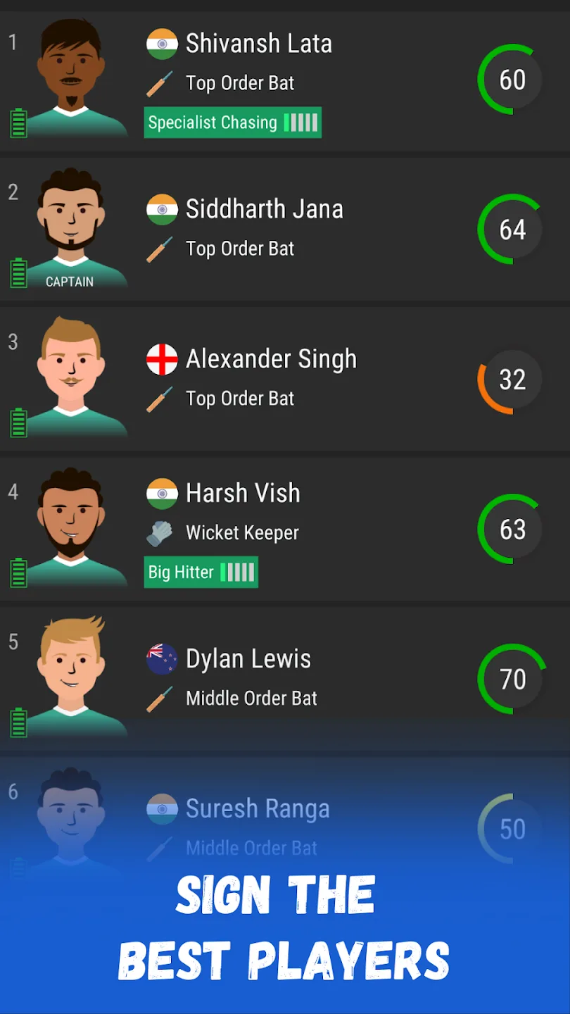 Wicket Cricket Manager 1