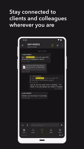 Bloomberg Professional 4
