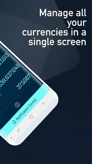 Cryptocurrency Rate Converter 2