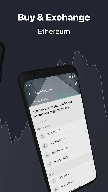 Ethereum Wallet 1