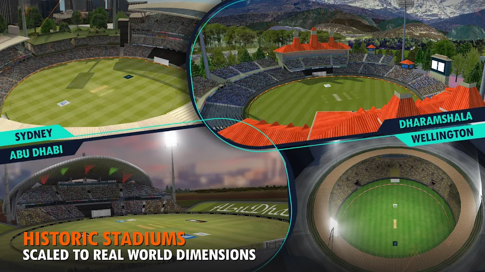 Real Cricket 24 5