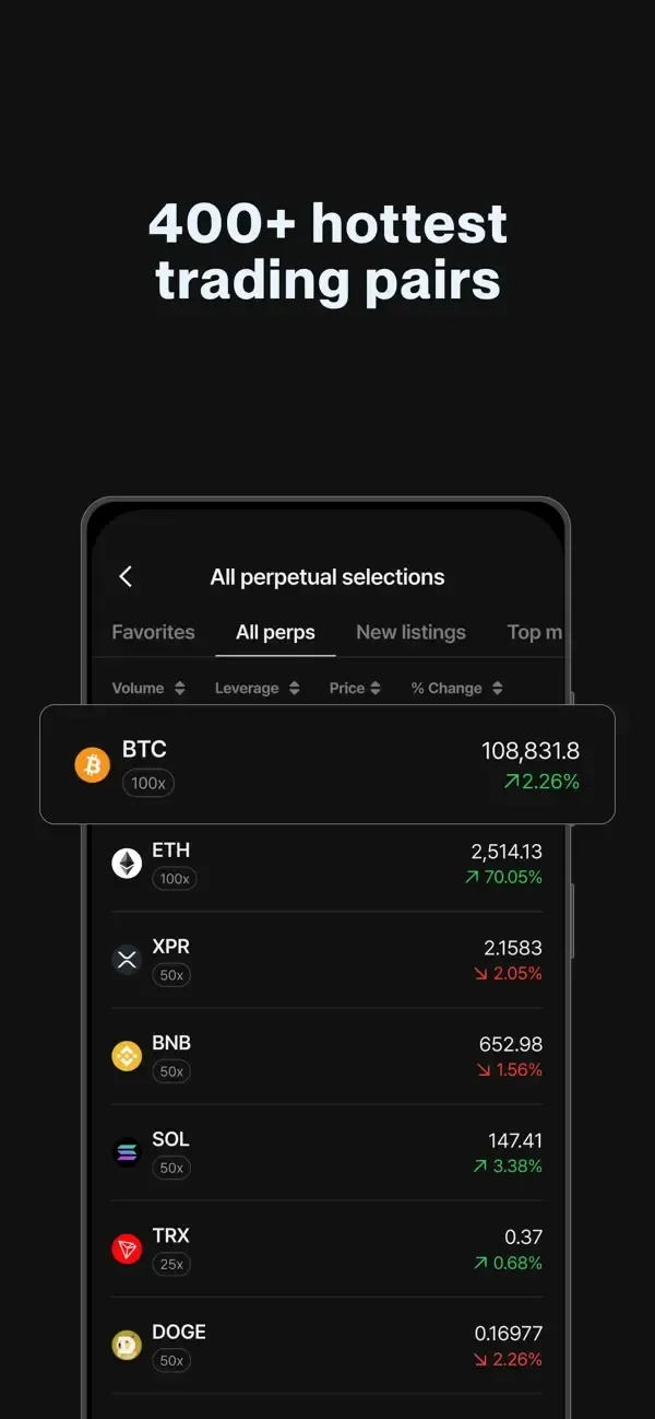 Flipster 3