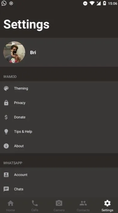 WAMOD 4