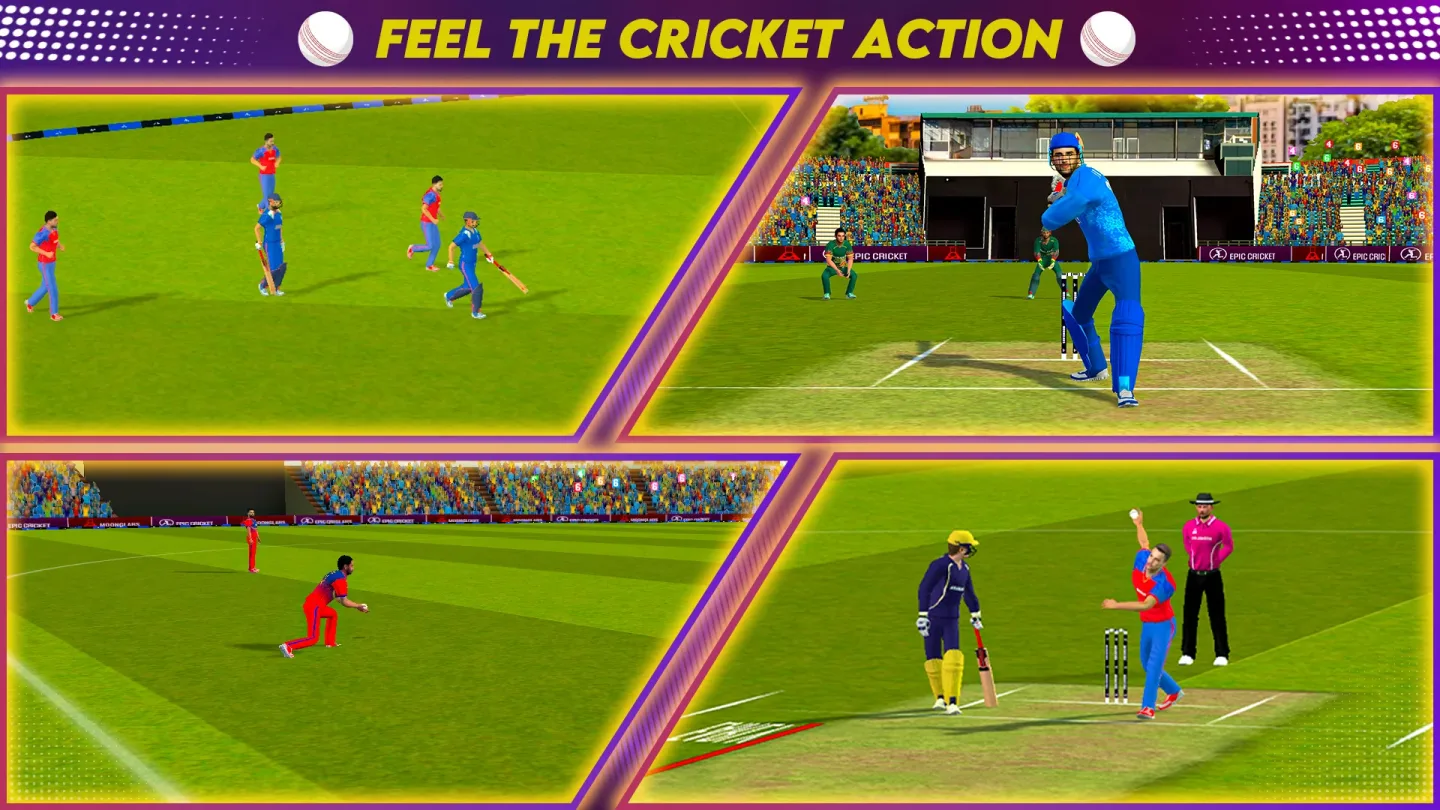 Epic Cricket 1