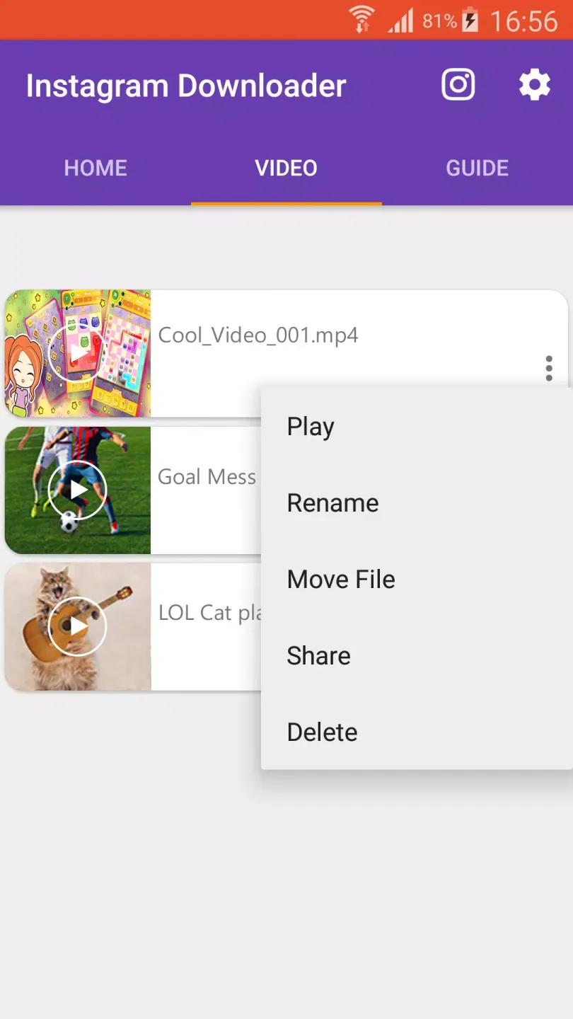 Igram Downloader 4