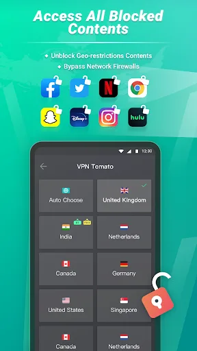 Tomato VPN | VPN Proxy 3