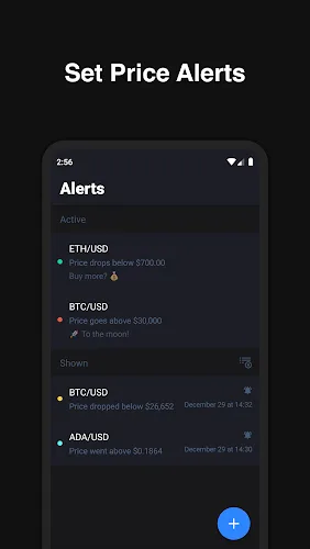 Hodler – Crypto Portfolio APK 5