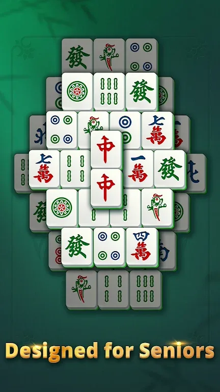 Vita Mahjong for Seniors 3