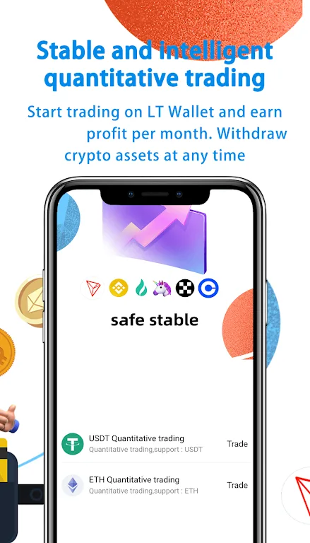 LT Wallet 2