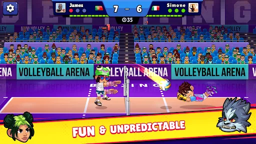 Volleyball Arena 3