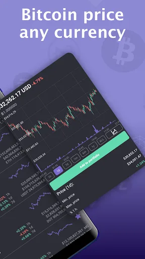 Bitcoin price - Cryptocurrency 3