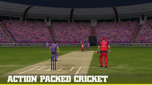 Big Bash 2016 5
