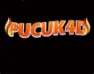 PUCUK4D
