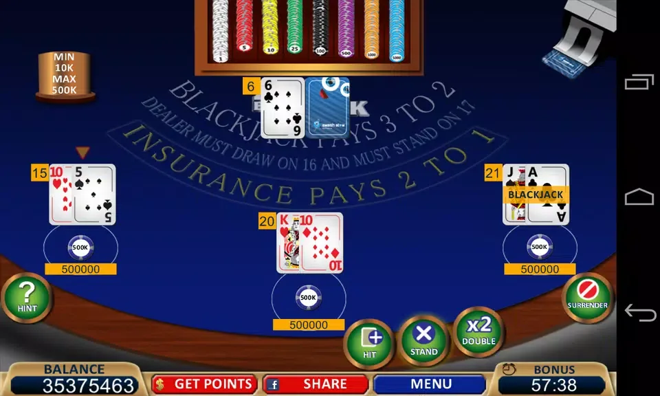 Blackjack 21+ Casino Card Game 1